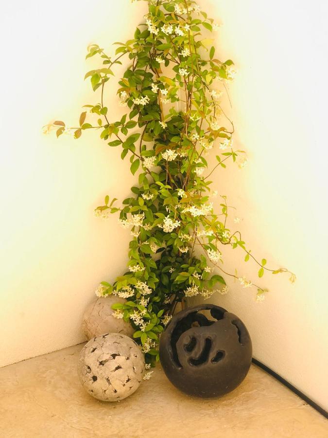 La Maison D Ame - For The Perfect Stay At The Mont Ventoux มาโลแซน ภายนอก รูปภาพ