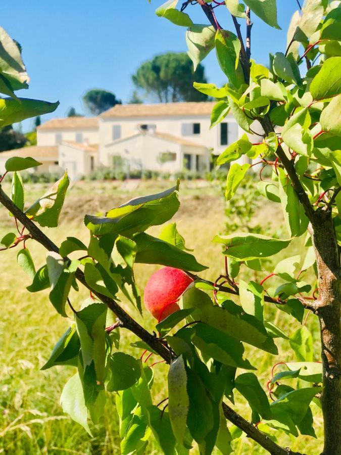 La Maison D Ame - For The Perfect Stay At The Mont Ventoux มาโลแซน ภายนอก รูปภาพ